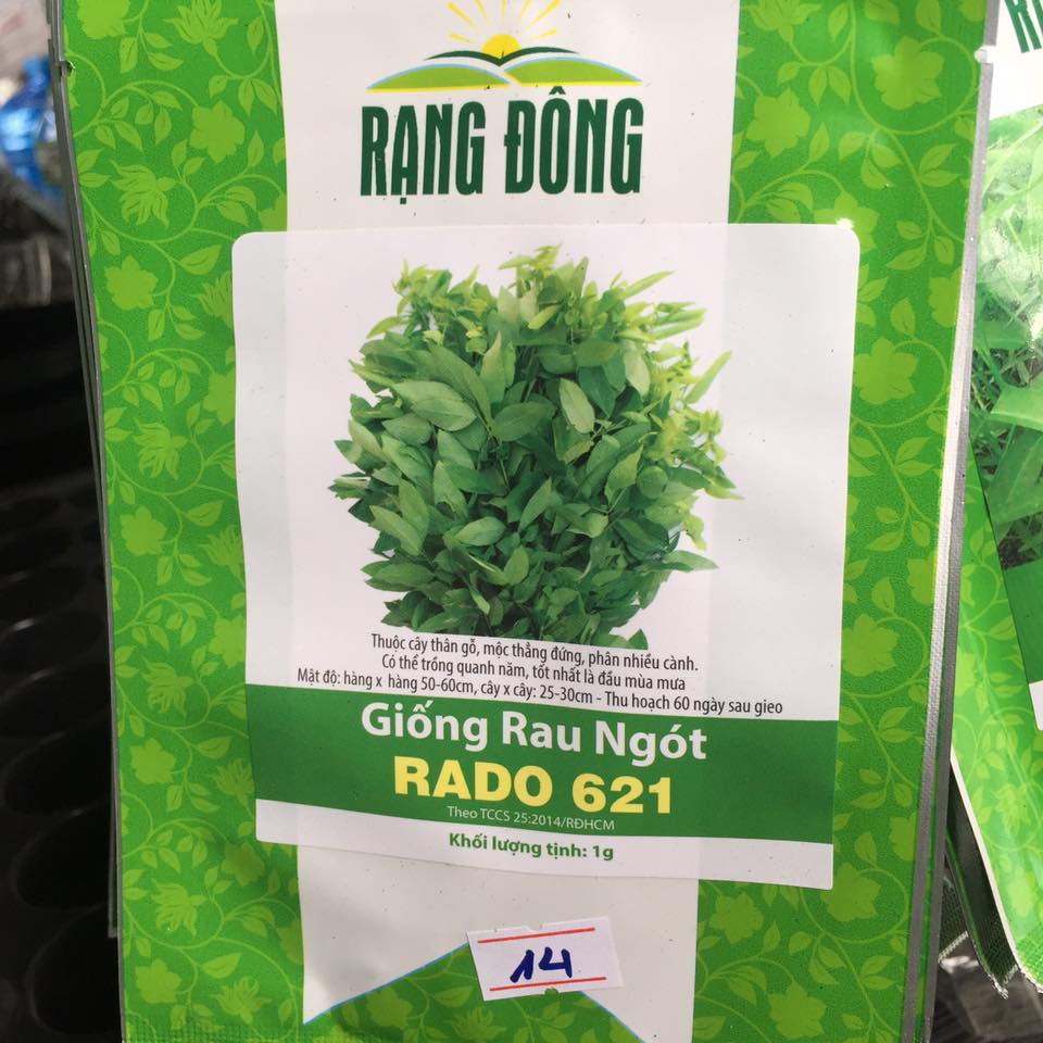 Hạt giống rau ngót (10065779654993)