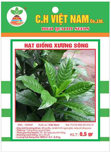 Hạt giống xương sông (10065768055121)